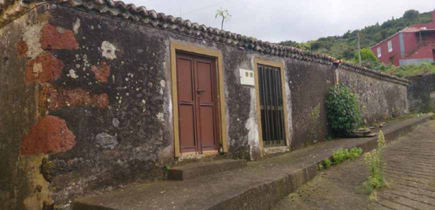 Dos casas y varios pajeros en Barlovento