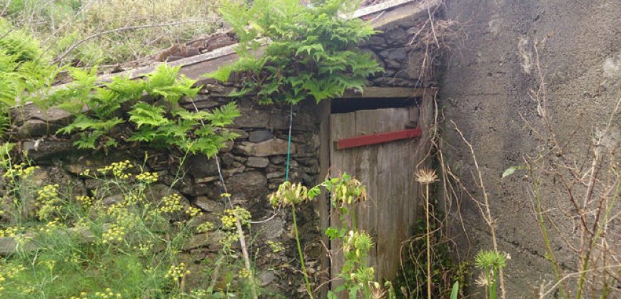 Dos casas y varios pajeros en Barlovento