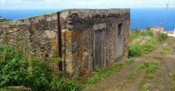 Dos casas y varios pajeros en Barlovento