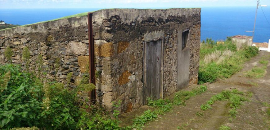 Dos casas y varios pajeros en Barlovento