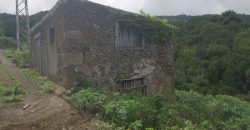 Dos casas y varios pajeros en Barlovento