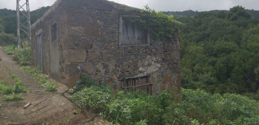 Dos casas y varios pajeros en Barlovento