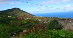 Dos casas y varios pajeros en Barlovento