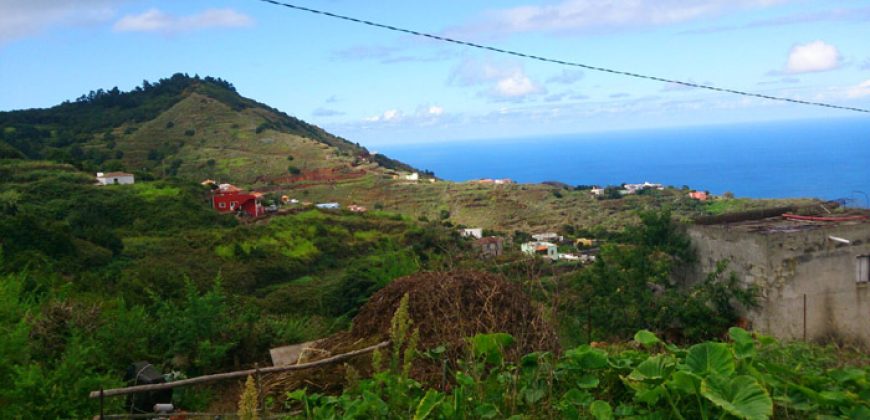 Dos casas y varios pajeros en Barlovento