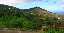 Dos casas y varios pajeros en Barlovento