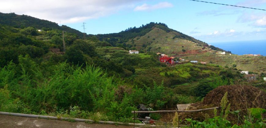 Dos casas y varios pajeros en Barlovento