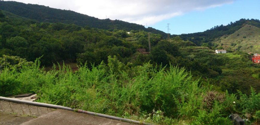 Dos casas y varios pajeros en Barlovento