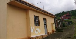 Dos casas y varios pajeros en Barlovento