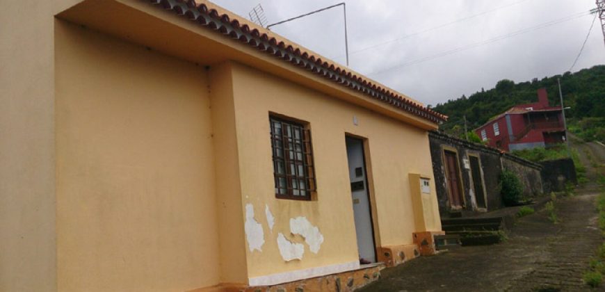 Dos casas y varios pajeros en Barlovento