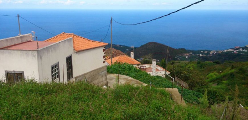 Dos casas y varios pajeros en Barlovento