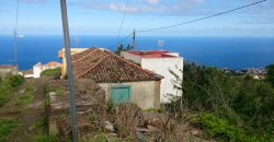 Dos casas y varios pajeros en Barlovento