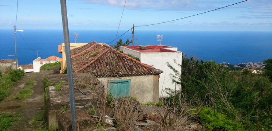 Dos casas y varios pajeros en Barlovento