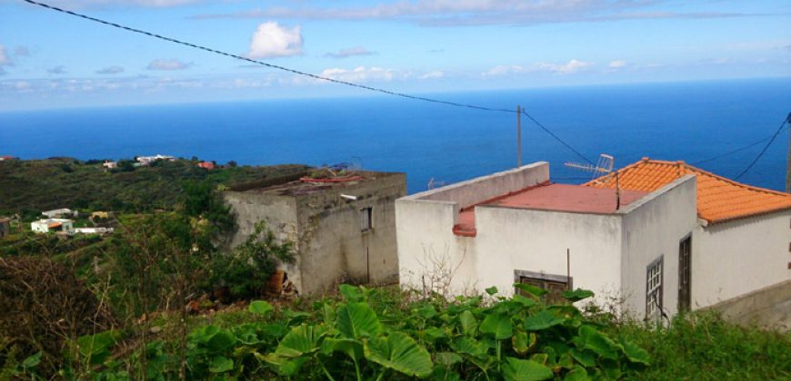 Dos casas y varios pajeros en Barlovento