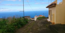 Dos casas y varios pajeros en Barlovento