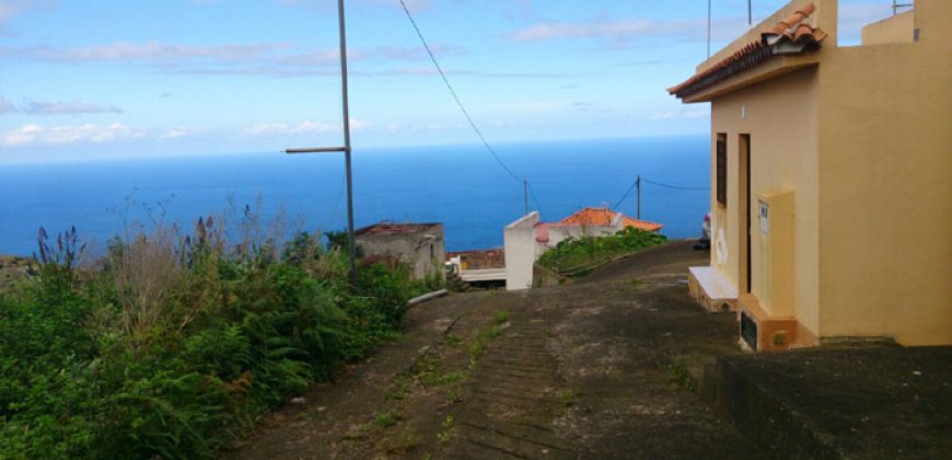 Dos casas y varios pajeros en Barlovento