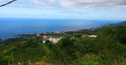 Dos casas y varios pajeros en Barlovento