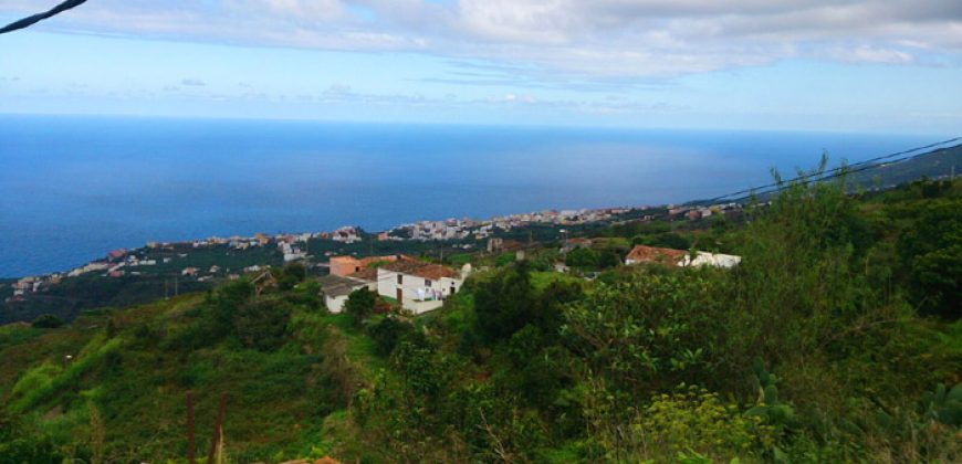 Dos casas y varios pajeros en Barlovento