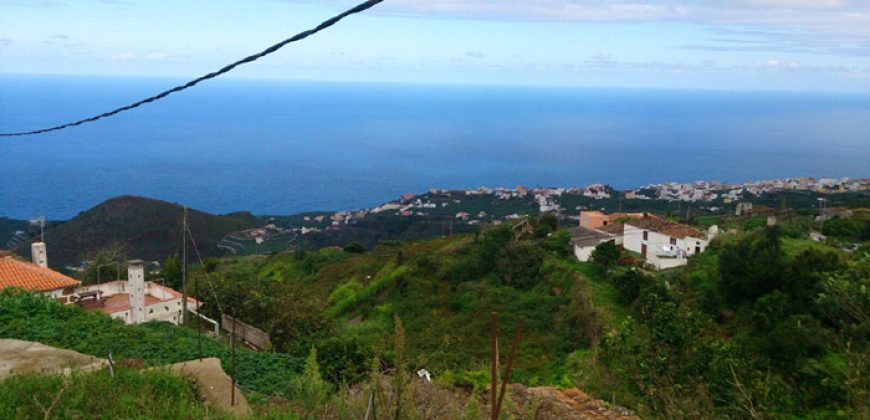 Dos casas y varios pajeros en Barlovento