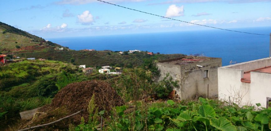 Dos casas y varios pajeros en Barlovento