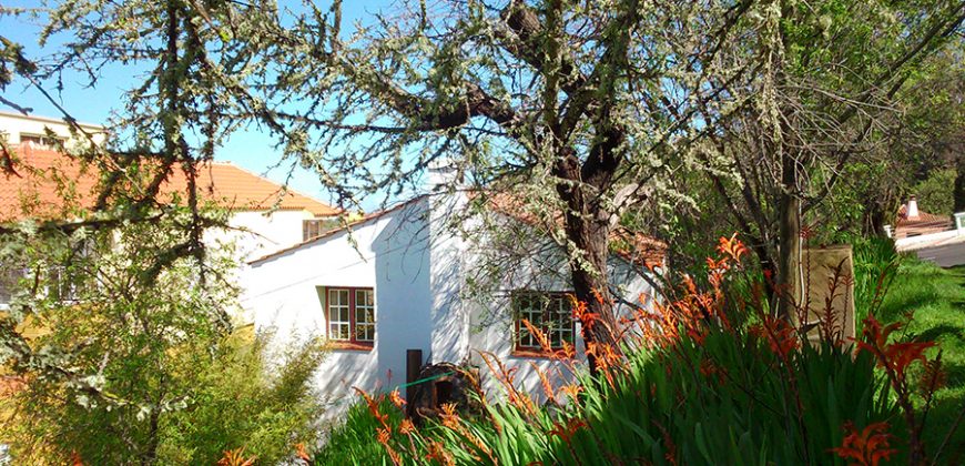 Haus in Puntagorda