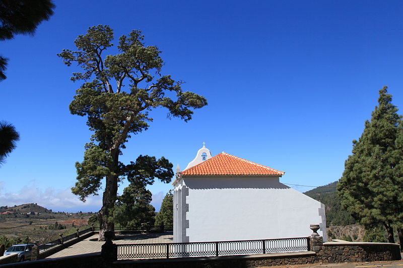 Las obras que ejecuta Política Territorial en el entorno del Pino de la Virgen