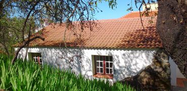 Haus in Puntagorda