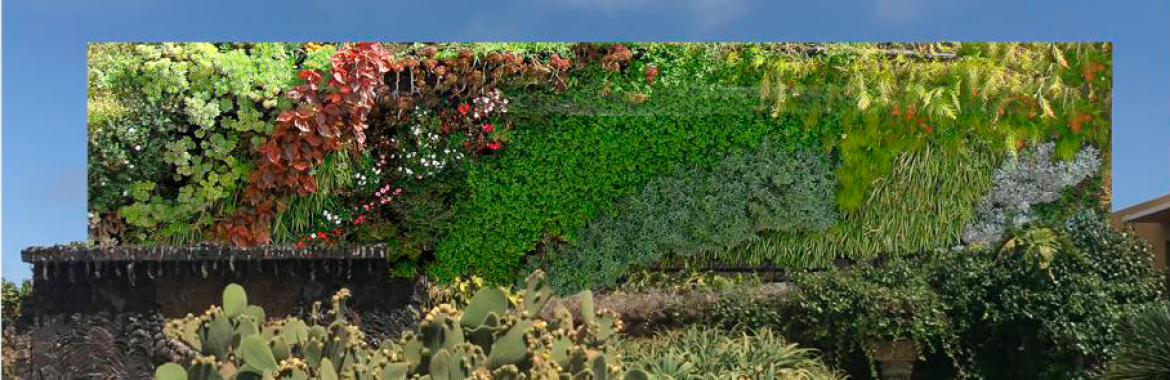 Jardín vertical para la Plaza de la Glorieta