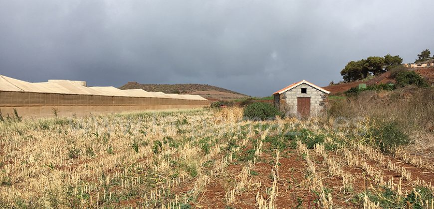 Finca in Puntagorda