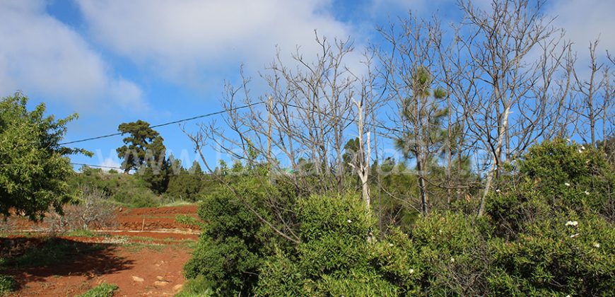 Grundstück in Puntagorda