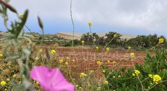 Touristisches Bauland