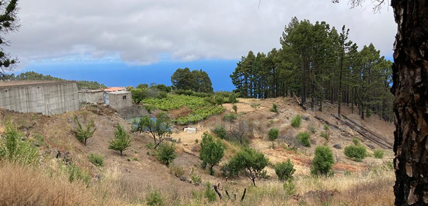 Bodega in Garafia