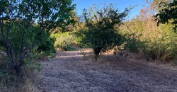 Finca in Garafia