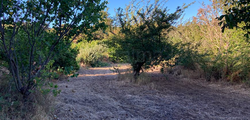 Finca in Garafia