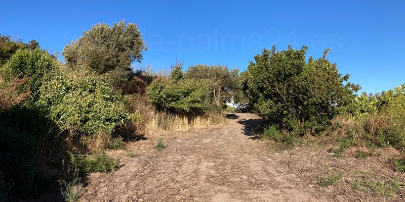 Finca in Garafia
