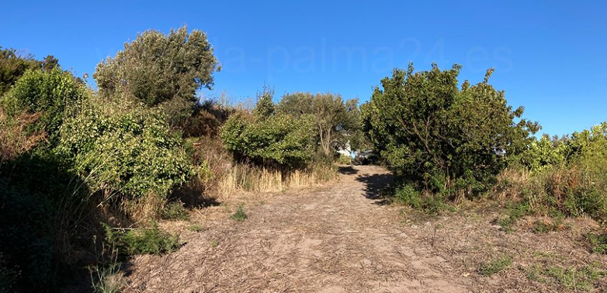 Finca in Garafia