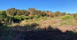 Finca in Garafia
