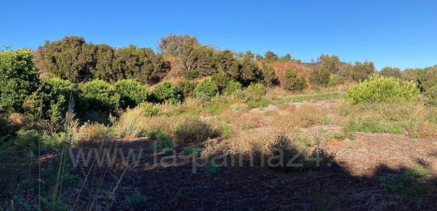 Finca in Garafia