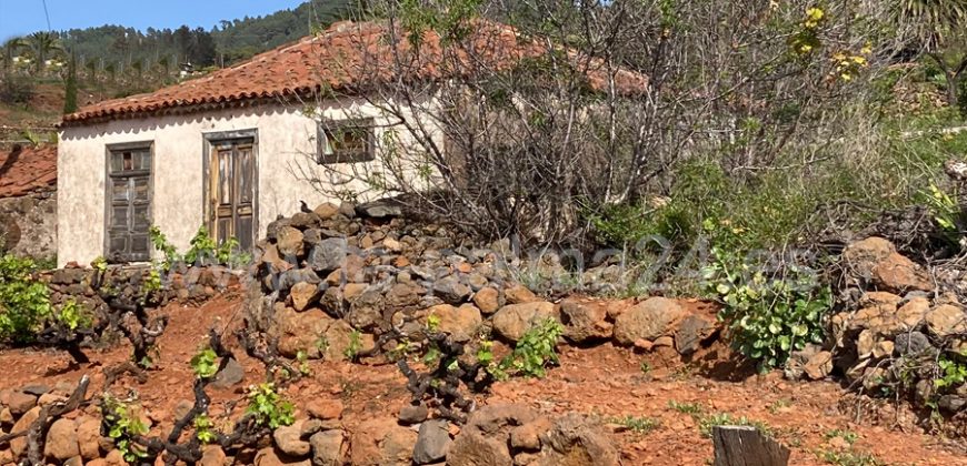 Finca in Puntagorda