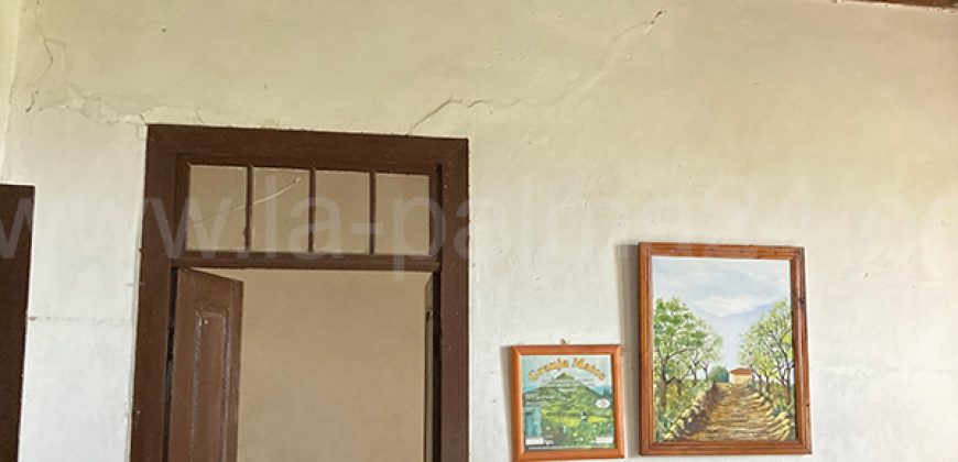 Finca in Puntagorda