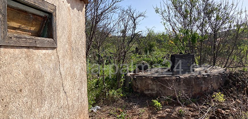 Finca in Puntagorda