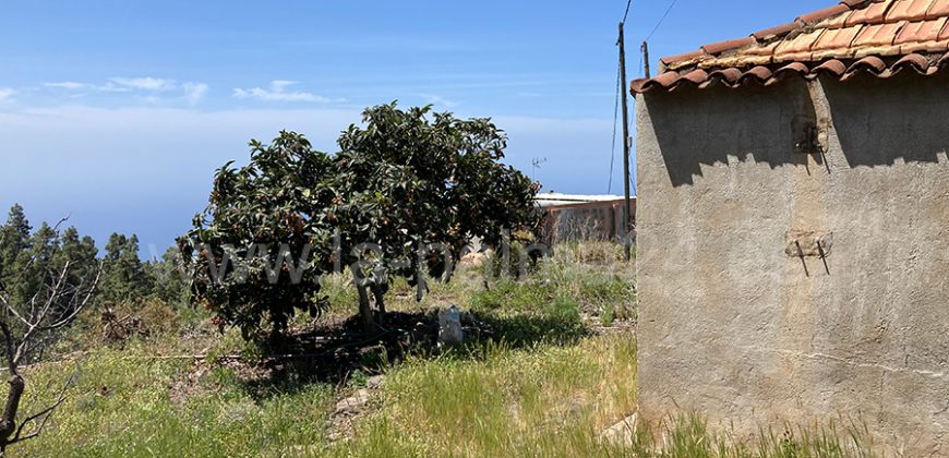 Finca in Tijarafe
