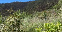 Finca in Tijarafe