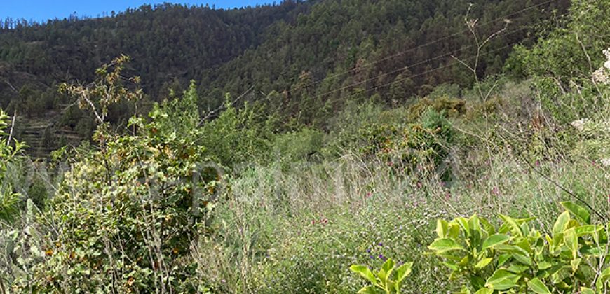 Finca in Tijarafe