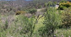 Finca in Tijarafe