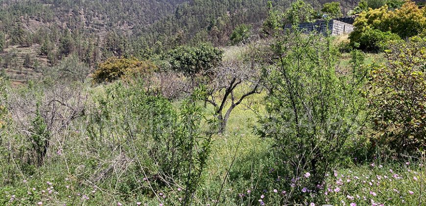 Finca in Tijarafe