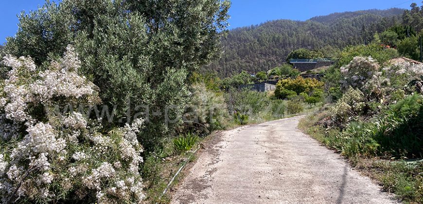 Finca in Tijarafe