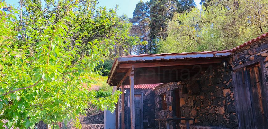 Landhaus in Garafia