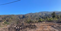 Bauland in Tijarafe