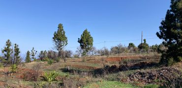 Land in Puntagorda