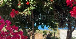 Haus in Garafia